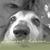 Rena Kemp's profile image