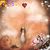 Bettyjo Mohamed's profile image