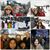 Natalie Gamboa Clark's profile image