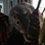 Laurie Shortt Sigmon's profile image