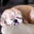 Jean Frances's profile image