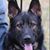 Cathe Deloney's profile image