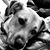Beth Ann Bard's profile image