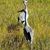 Judy Rogers's profile image