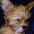 Pat O'Brien's profile image