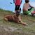 Tim Baire's profile image