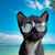 Ann Lindner's profile image