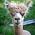 Monica Taylor's profile image