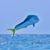 Christopher Bishop's profile image