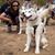 Mia de Paula's profile image