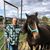 Dave Reber's profile image
