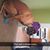 Dave Clute's profile image