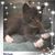 Kelly McGhee Birkenhauer's profile image