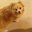 Ken Rulloda's profile image