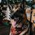 Chuck Lippert's profile image
