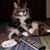 Xandra Braugarten's profile image