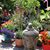 Loretta Padilla Ravelli's profile image