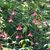 Cindy Graybill's profile image
