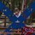 Patrick Ramskindt's profile image