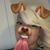 Ebony Harris's profile image