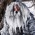 Adam Roshia's profile image