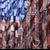 Deb Arms McEwing's profile image