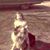 Cynthia Shelly's profile image
