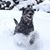 Andrea Kelly Warren's profile image
