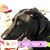 Lynn Minton's profile image