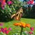 Terri Burkholder's profile image
