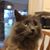 James Nancy Copeland's profile image