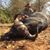 James Dale Damron's profile image