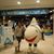 Eileen Chen's profile image