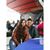 Naydelin Dayana Romo Ramos's profile image