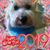 Terrie Miller-Shore's profile image