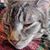 Hope Gilde Warby's profile image