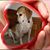 Molly Quinn's profile image