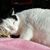 Stephanie Desira Barrineau West's profile image