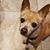 Ana Marcela Kearns's profile image