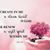 Sarah Whiteside Schneringer's profile image