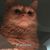 Chris Cushinery's profile image