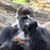 John David Johnson's profile image