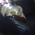 Chris Mojah's profile image
