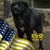 Kymbrlyn L Lucas's profile image