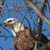 Dave Coon's profile image