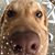Diane Hawkins Ward's profile image