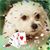 Theresa Pirolli's profile image