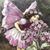 Sandy Guilbeaux's profile image