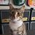 Marie Zarifis Chapman's profile image