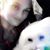 Kaleena Lumadue's profile image